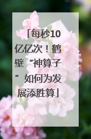 每秒10亿亿次！鹤壁“神算子”如何为发展添胜算