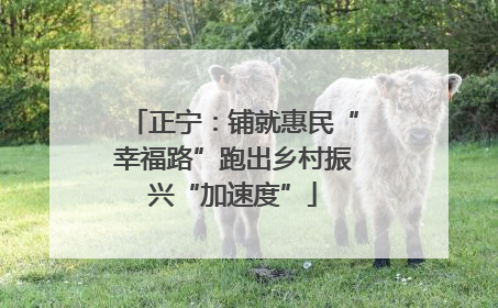 正宁：铺就惠民“幸福路”跑出乡村振兴“加速度”