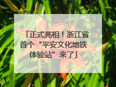 正式亮相！浙江省首个“平安文化地铁体验站”来了