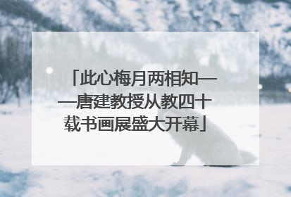 此心梅月两相知——唐建教授从教四十载书画展盛大开幕