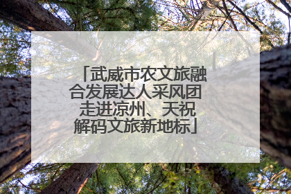 武威市农文旅融合发展达人采风团 走进凉州、天祝解码文旅新地标