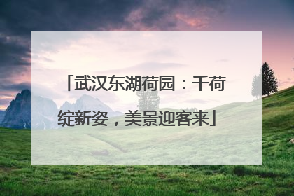 武汉东湖荷园：千荷绽新姿，美景迎客来