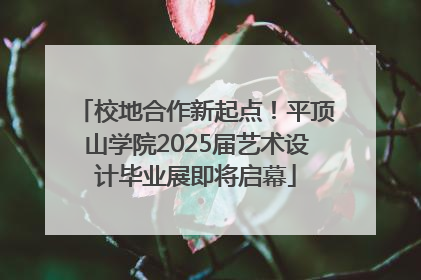 校地合作新起点！平顶山学院2025届艺术设计毕业展即将启幕