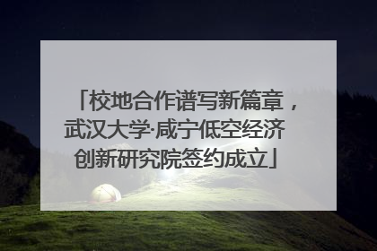 校地合作谱写新篇章，武汉大学·咸宁低空经济创新研究院签约成立
