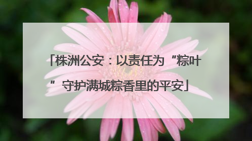 株洲公安：以责任为“粽叶”守护满城粽香里的平安