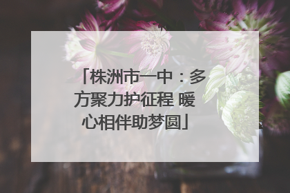 株洲市一中：多方聚力护征程 暖心相伴助梦圆