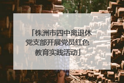株洲市四中离退休党支部开展党员红色教育实践活动