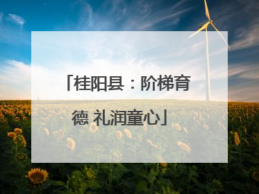 桂阳县：阶梯育德 礼润童心
