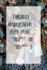 桃源县：政银企深化合作 共促“知产”变“资产”