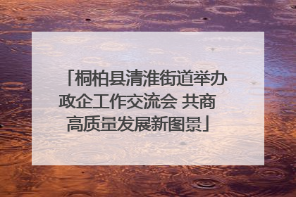 桐柏县清淮街道举办政企工作交流会 共商高质量发展新图景