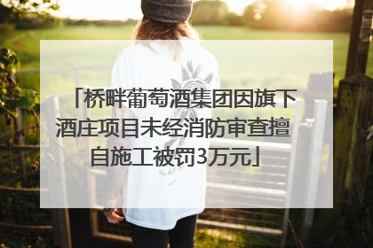 桥畔葡萄酒集团因旗下酒庄项目未经消防审查擅自施工被罚3万元