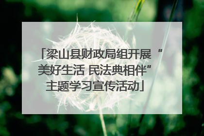 梁山县财政局组开展“美好生活 民法典相伴”主题学习宣传活动