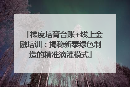 梯度培育台账+线上金融培训：揭秘新泰绿色制造的精准滴灌模式