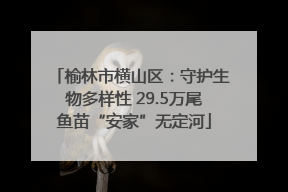 榆林市横山区：守护生物多样性 29.5万尾鱼苗“安家”无定河