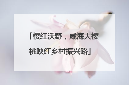 樱红沃野，威海大樱桃映红乡村振兴路