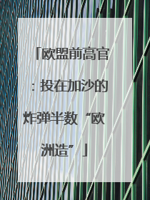 欧盟前高官：投在加沙的炸弹半数“欧洲造”