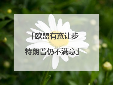 欧盟有意让步 特朗普仍不满意