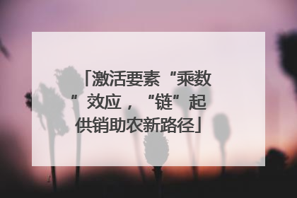 激活要素“乘数”效应，“链”起供销助农新路径