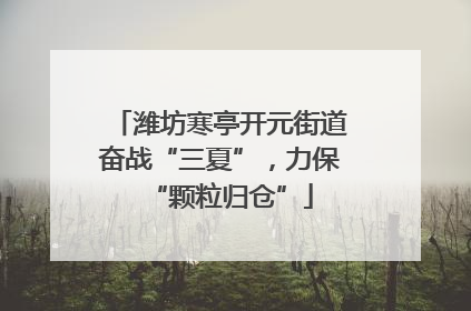 潍坊寒亭开元街道奋战“三夏”，力保“颗粒归仓”