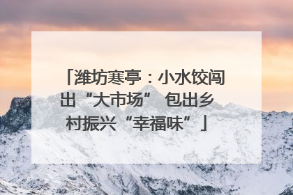 潍坊寒亭：小水饺闯出“大市场” 包出乡村振兴“幸福味”