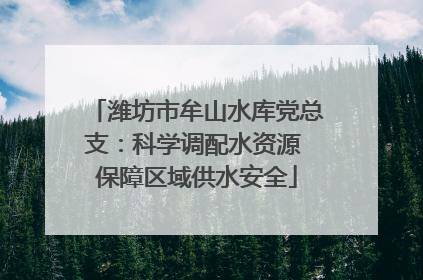 潍坊市牟山水库党总支：科学调配水资源 保障区域供水安全