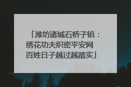 潍坊诸城石桥子镇：绣花功夫织密平安网 百姓日子越过越踏实