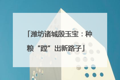 潍坊诸城殷玉宝：种粮“蹚”出新路子