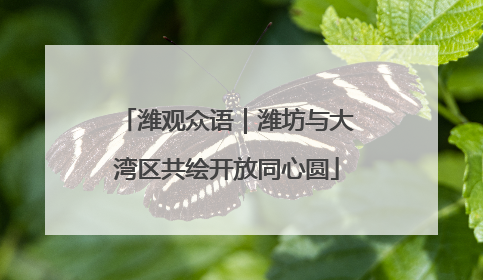 潍观众语｜潍坊与大湾区共绘开放同心圆