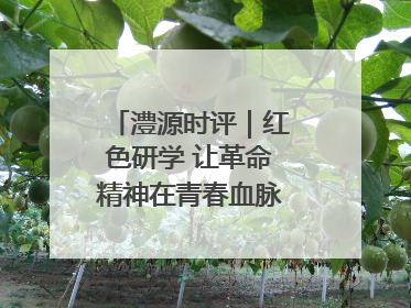 澧源时评｜红色研学 让革命精神在青春血脉中永续传承