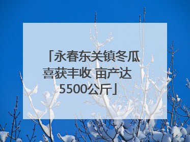永春东关镇冬瓜喜获丰收 亩产达5500公斤