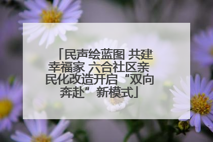 民声绘蓝图 共建幸福家 六合社区亲民化改造开启“双向奔赴”新模式