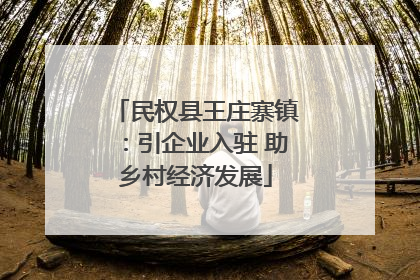 民权县王庄寨镇：引企业入驻 助乡村经济发展