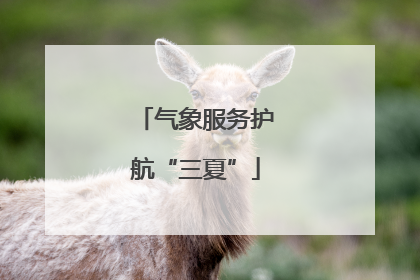 气象服务护航“三夏”