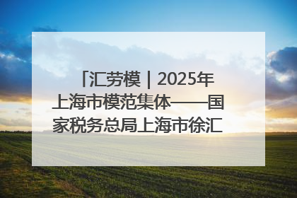 汇劳模｜2025年上海市模范集体——国家税务总局上海市徐汇区税务局第一税务所