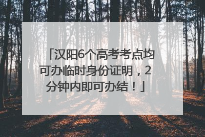 汉阳6个高考考点均可办临时身份证明，2分钟内即可办结！