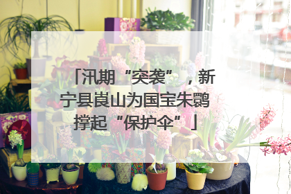 汛期“突袭”，新宁县崀山为国宝朱鹮撑起“保护伞”