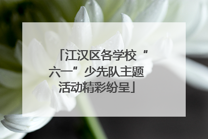 江汉区各学校“六一”少先队主题活动精彩纷呈