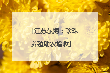 江苏东海：珍珠养殖助农增收