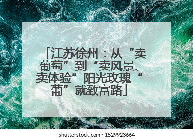 江苏徐州：从“卖葡萄”到“卖风景、卖体验”阳光玫瑰“葡”就致富路
