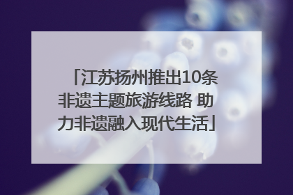 江苏扬州推出10条非遗主题旅游线路 助力非遗融入现代生活