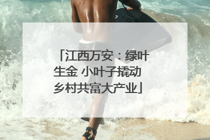 江西万安：绿叶生金 小叶子撬动乡村共富大产业