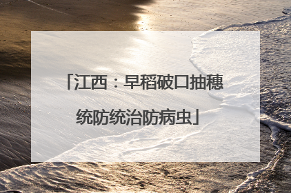 江西：早稻破口抽穗 统防统治防病虫