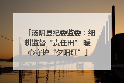 汤阴县纪委监委：细耕监督“责任田” 暖心守护“夕阳红”