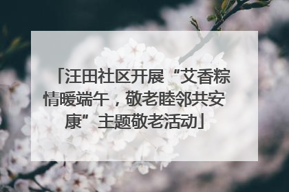汪田社区开展“艾香粽情暖端午，敬老睦邻共安康”主题敬老活动