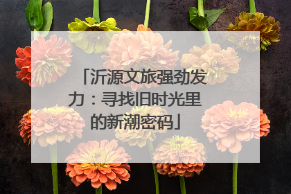 沂源文旅强劲发力：寻找旧时光里的新潮密码