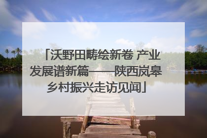 沃野田畴绘新卷 产业发展谱新篇——陕西岚皋乡村振兴走访见闻