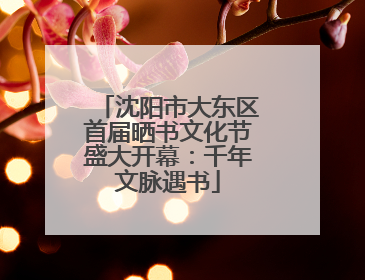 沈阳市大东区首届晒书文化节盛大开幕：千年文脉遇书