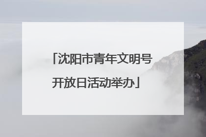 沈阳市青年文明号开放日活动举办