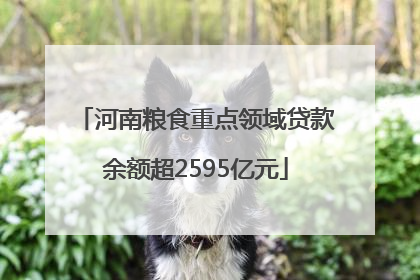 河南粮食重点领域贷款余额超2595亿元