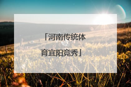 河南传统体育宜阳竞秀